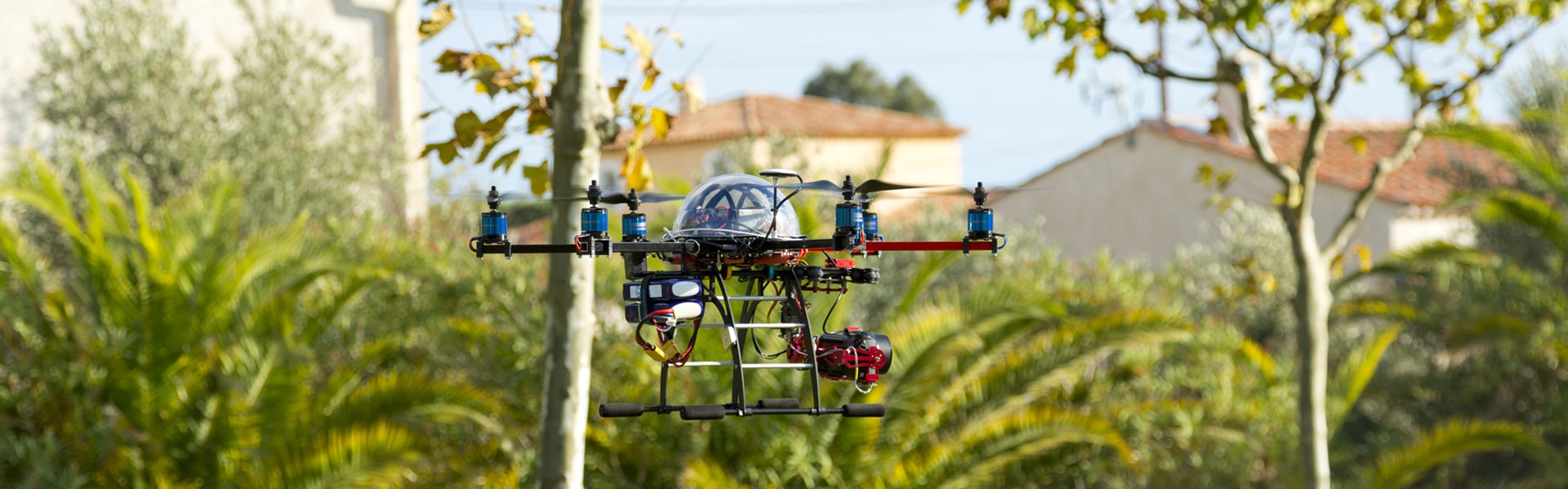 Palmeraie filmée par un drone dans le Var à Fréjus