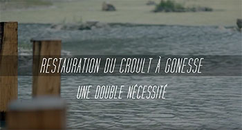 Film sur la renaturation de rivière